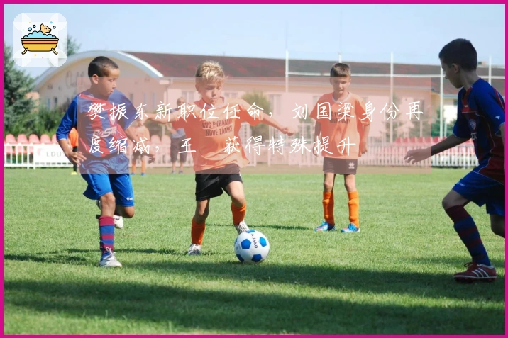樊振东新职位任命，刘国梁身份再度缩减，王濛获得特殊提升