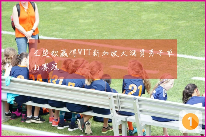 王楚钦赢得WTT新加坡大满贯男子单打赛冠