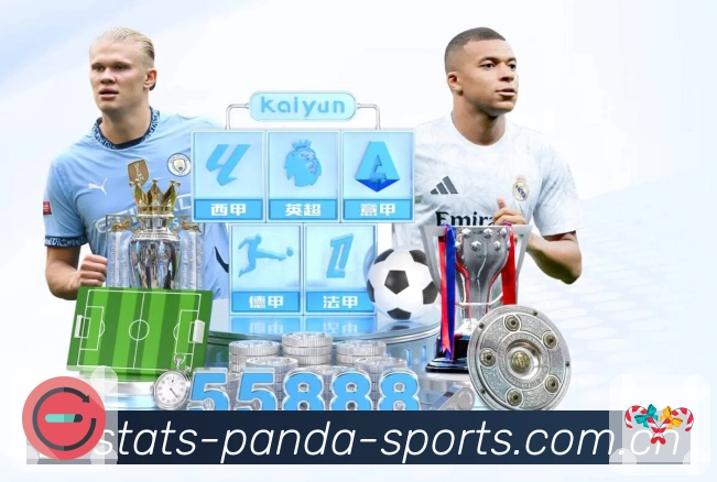 熊猫体育平台展示图